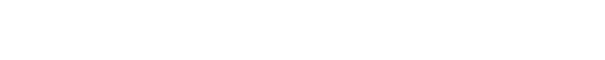 light logo
